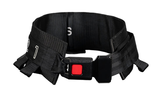 Waist Harness